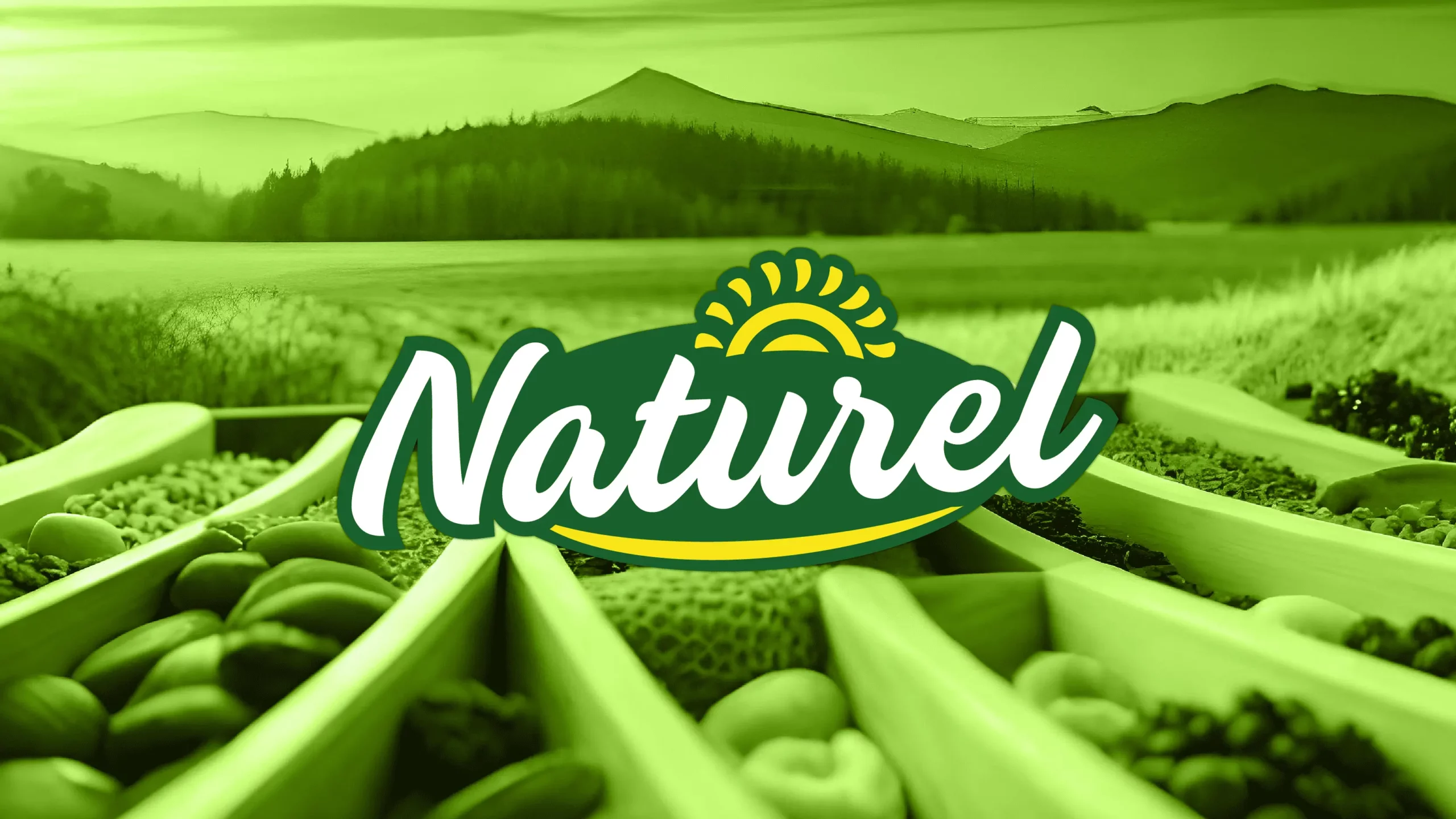 grace-service4-gallery-aurora-image2