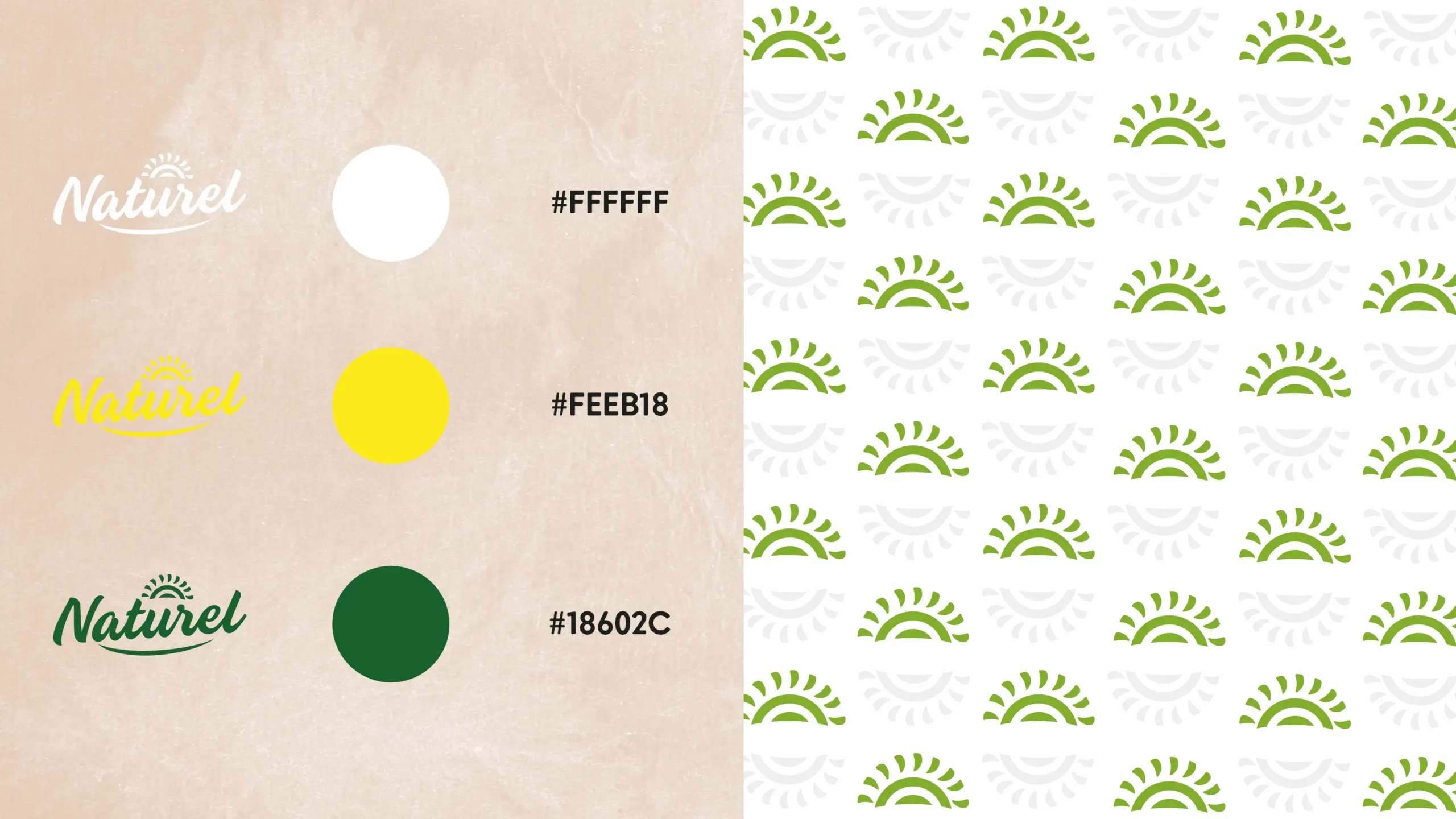 grace-service4-gallery-aurora-image2